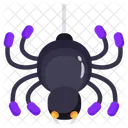 Halloween Spider Arachnid Insect Icon