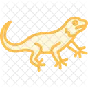 Halsbandleguan Icon