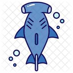 Hammer Shark  Icon