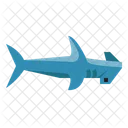 Hammerhead Shark Fish Icon