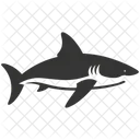 Hammerhead Shark Elasmobranch Distinctive Head Icon