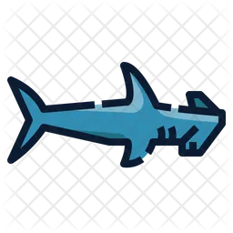 Hammerhead Shark  Icon