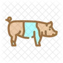 Hampshire Pig Breed Icon