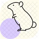 햄스터 애완동물 포유류 아이콘