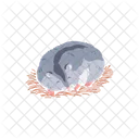 Hamster Vector Lindo Icono