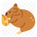 Hamster  Icon