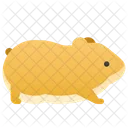 Hamster  Ícone