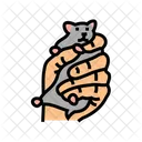 Hamster Pet Hand Icon
