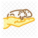 Hamster Pet Hand Icon