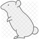 Hamster Pet Mammal Icon