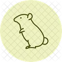 Hamster Pet Mammal Icon