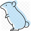 Hamster Pet Mammal Icon