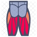 Hamstrings  Icon