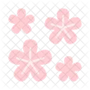 Hanami  Ícone