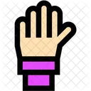 Hand Halten Menschliche Hand Icon