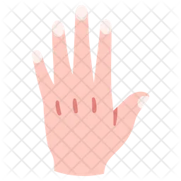 Hand  Icon
