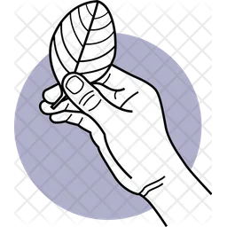 Hand  Icon