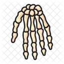 Hand Bones Skeleton Icon