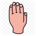 Hand Gesture Nails Icon