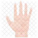 Hand Human Fingers Icon