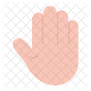 Hand Icon