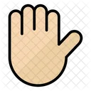 Hand Hold Gestures Icon
