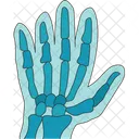 Hand Fingers Bone Icon