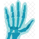Hand Fingers Bone Icon