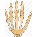 Hand Skeleton Bone Icon