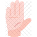 Hand Palm Stop Icon