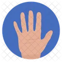 Hand Gesture Hello Icon