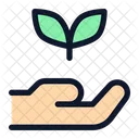 Hand-ask-seed  Icon