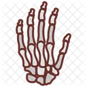 Hand Bone Hand Structure Bones Icon