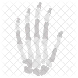 Hand bone  Icon