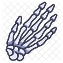 Hand Bone Icon