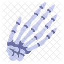 Hand Bone Icon