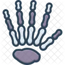 Hand Bones Icon