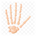 Hand Fingers Bone Icon