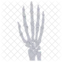 Hand Bones Hand Skeleton Bones Icon