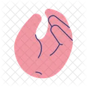 Hand Gesture Litlle  Icon