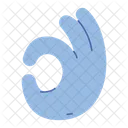 Hand Gesture Ok  Icon