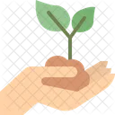 Hand Holding Plant Hand Holding Icon