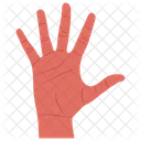 Hand Fingers Hand Lines Icon