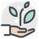 Hand Care Treatment Icon