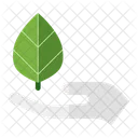 Hand Leaf Ecology Environment Icon