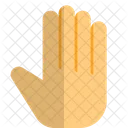 Hand Palm Icon