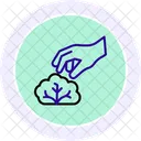 Hand Picking Lettuce Hand Picking Icon