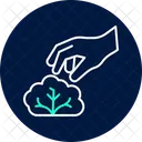 Hand Picking Lettuce Hand Picking Icon