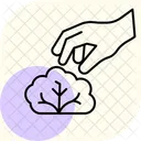 Hand Picking Lettuce Hand Picking Icon