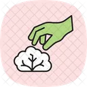 Hand Picking Lettuce Hand Picking Icon